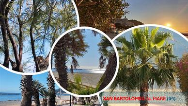 Vacanza a SAN BARTOLOMEO AL MARE (IM)