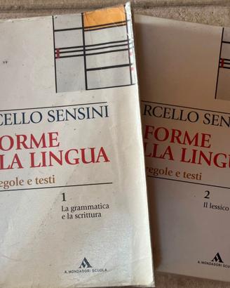 Forme della lingua – Libro di testo grammatica  
