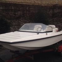 Motoscafo fuoribordo con motore Evinrude