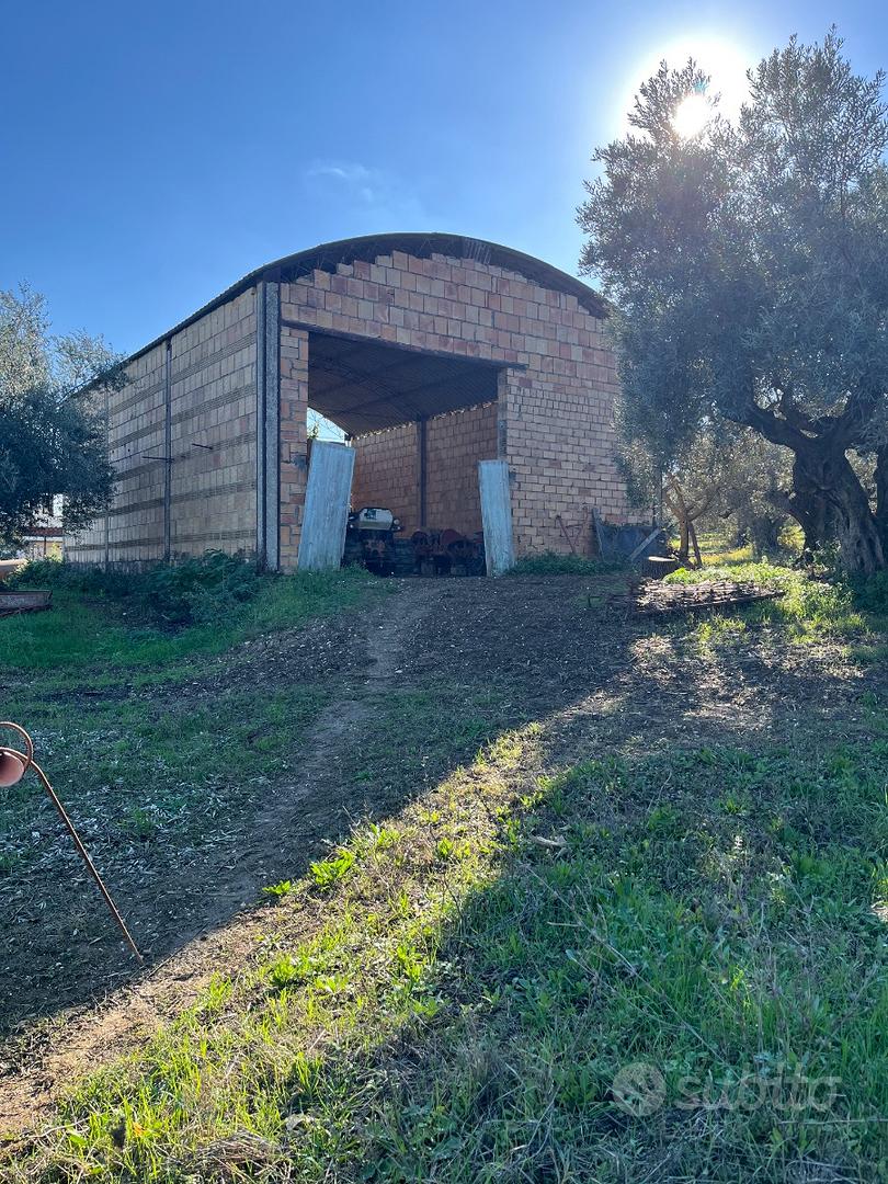 Terreno 6500 mq di cui 1500 mc edifificabili - Vista 6