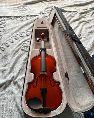 Violino