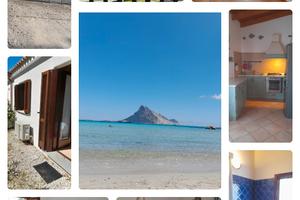 Sardegna ultimee disponibilitaa San Teodoro