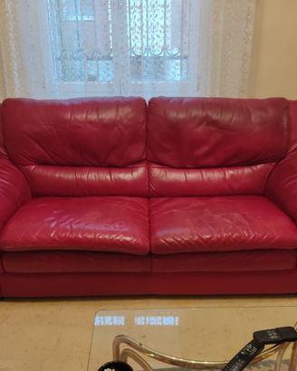 2 Divani Natuzzi in pelle