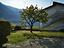 Immagine 13