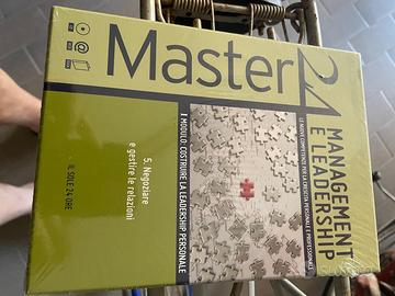 Corso master 24 management e leadership