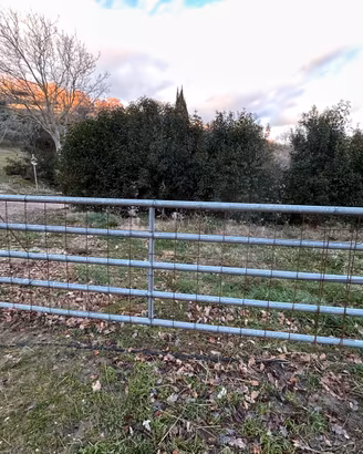 Cancello in ferro per recinti