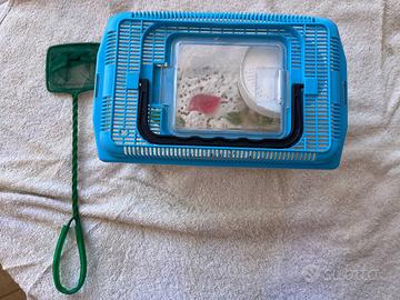 Vaschetta/terrario in plastica con accessori (reti