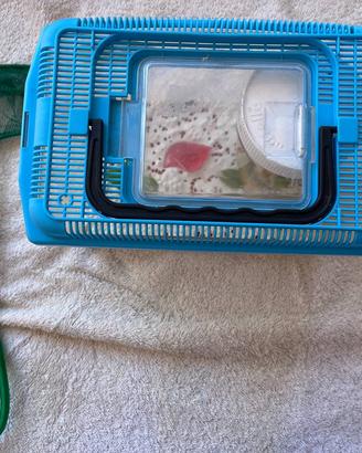 Vaschetta/terrario in plastica con accessori (reti
