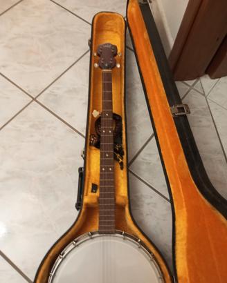 Banjo Melody 