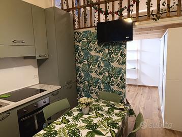 Monolocale finemente arredato