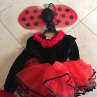 Vestito carnevale Coccinella