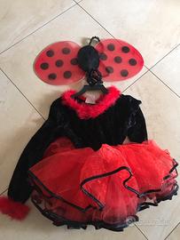 Vestito carnevale Coccinella