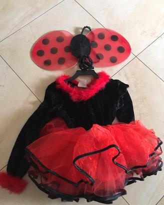 Vestito carnevale Coccinella