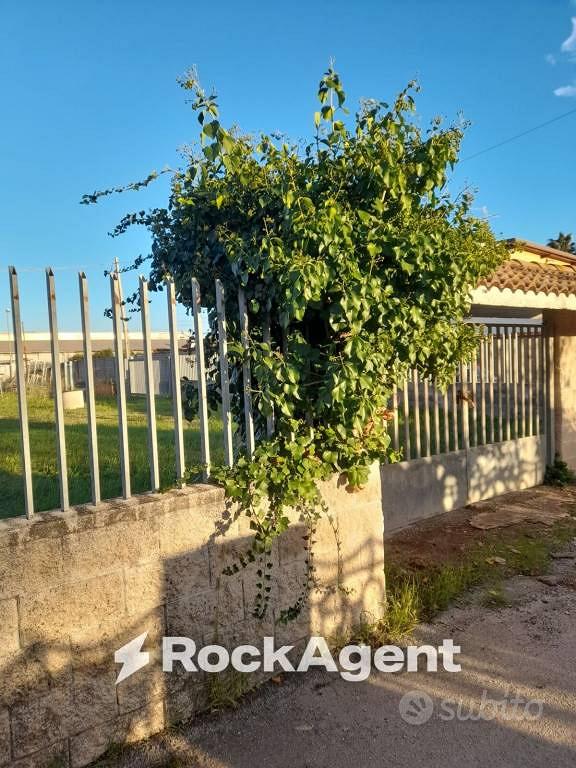 Terreno di 925 m² a Nettuno - Altro