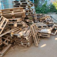 legna da ardere gratis