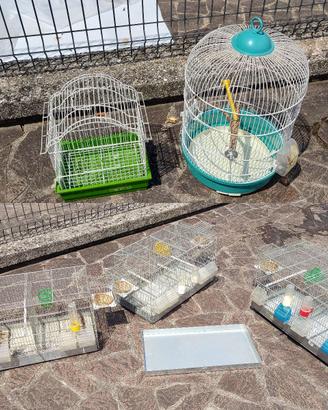 Gabbie per canarini da batteria e gabbiette