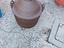 Immagine 6