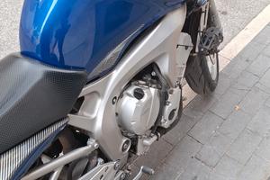 YAMAHA FZ6 2005 TRATTABILE