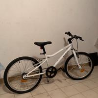 Bici Riverside 20