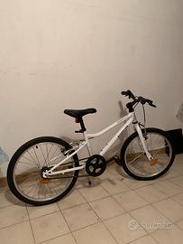 Bici Riverside 20