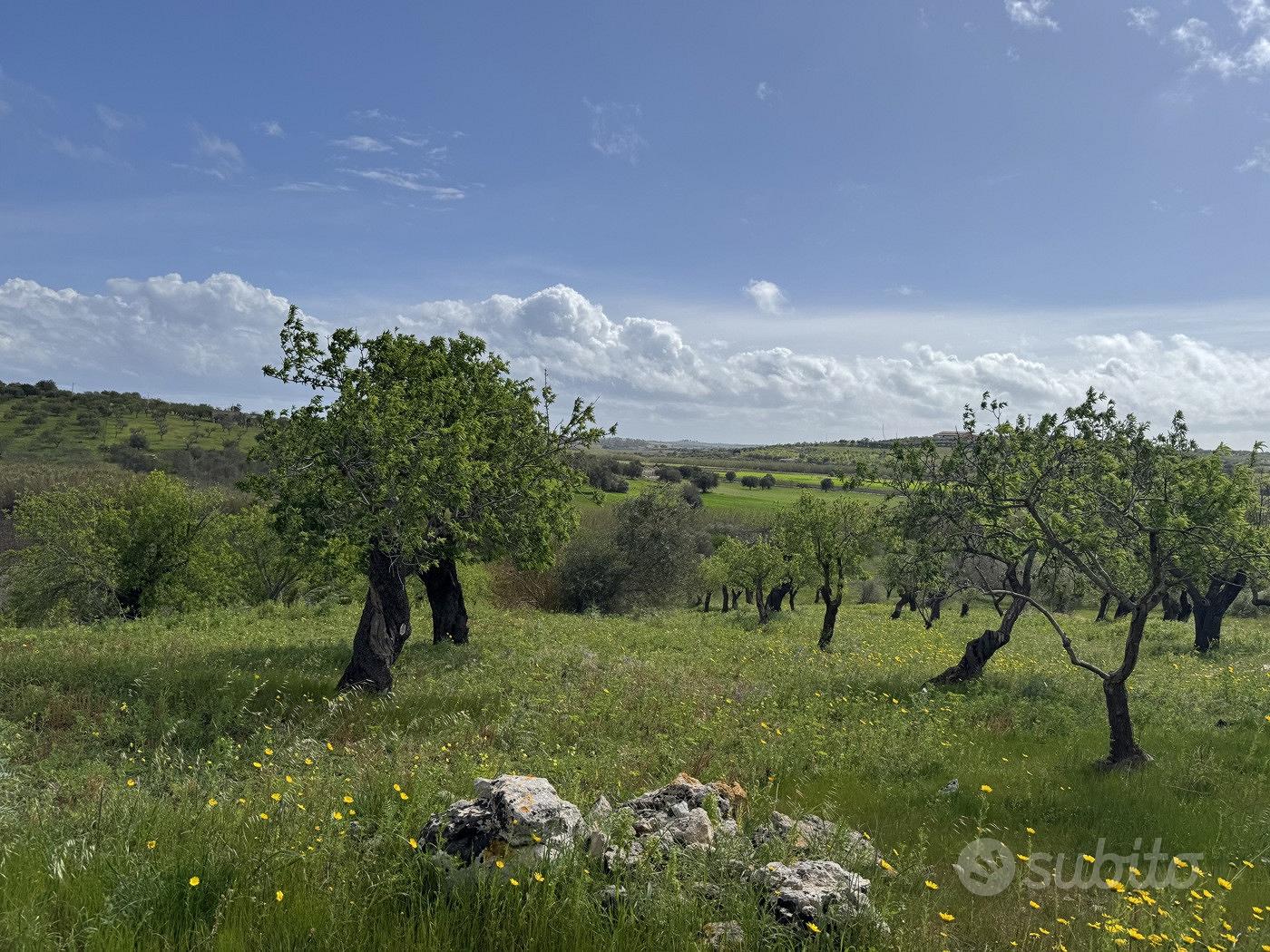 Terreno Agricolo Noto [Cod. rif 3321426VCG] - Vista 4