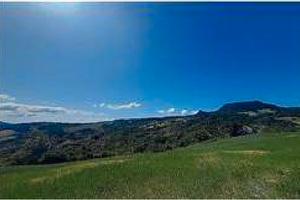 RGE 24/2025 Trib Urbino - LOTTO 3