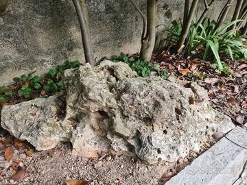Rocce da giardino 