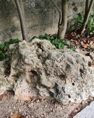 Rocce da giardino 
