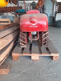 guzzi motozappa t110