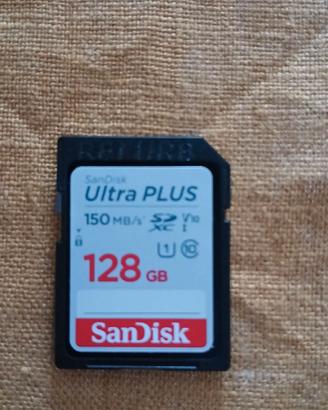 Scheda memoria SanDisk 128 GB