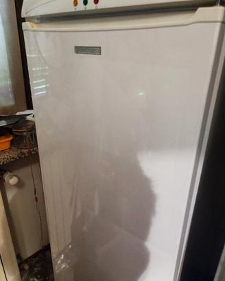 congelatore verticale  pozzetto freezer ripiani