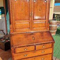 trumoe libreria inglese 