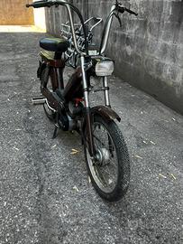 Garelli