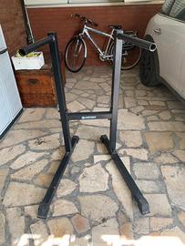 Dip station lacertosus