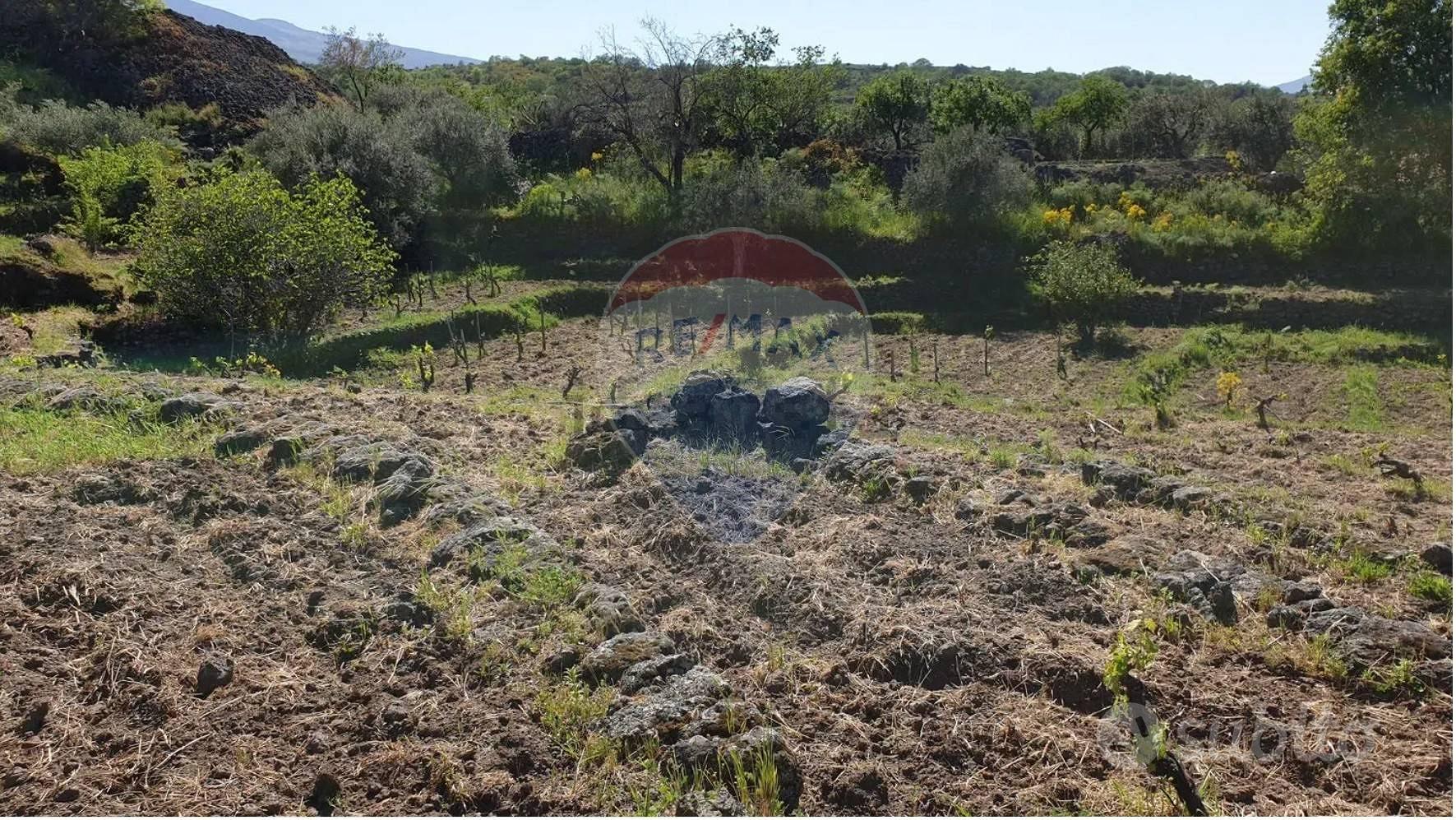 Terreno - Castiglione di Sicilia - Vista 4
