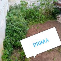 Pulizie, altri lavori,