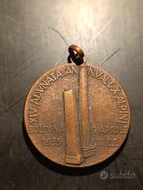medaglia nazionale alpini