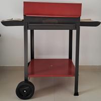 Barbecue a legna e carboni