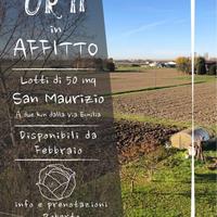 Orti for rent