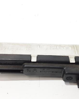 Ricambio indicatore airbag PEUGEOT 207 2006-2009 U
