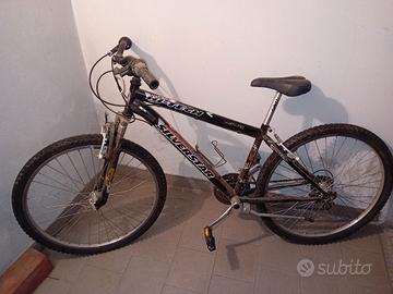 Bicicletta silvestar