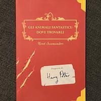 J.K. Rowling Gli animali fantastici: dove trovarli