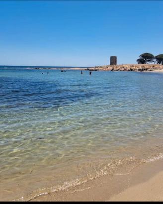 Sardegna