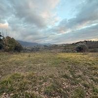 Terreno con tartufaie coltivate panoramico