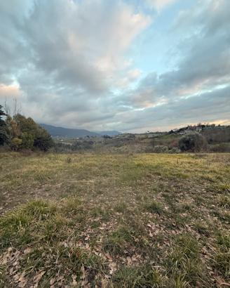 Terreno con tartufaie coltivate panoramico
