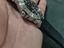 Immagine 3