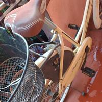 Bicicletta Holland da sistemare