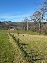 Terreno edificabile a Valmozzola - 760mq