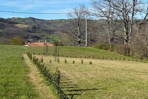 Terreno edificabile a Valmozzola - 760mq
