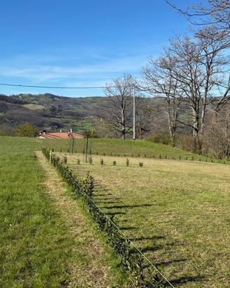 Terreno edificabile a Valmozzola - 760mq
